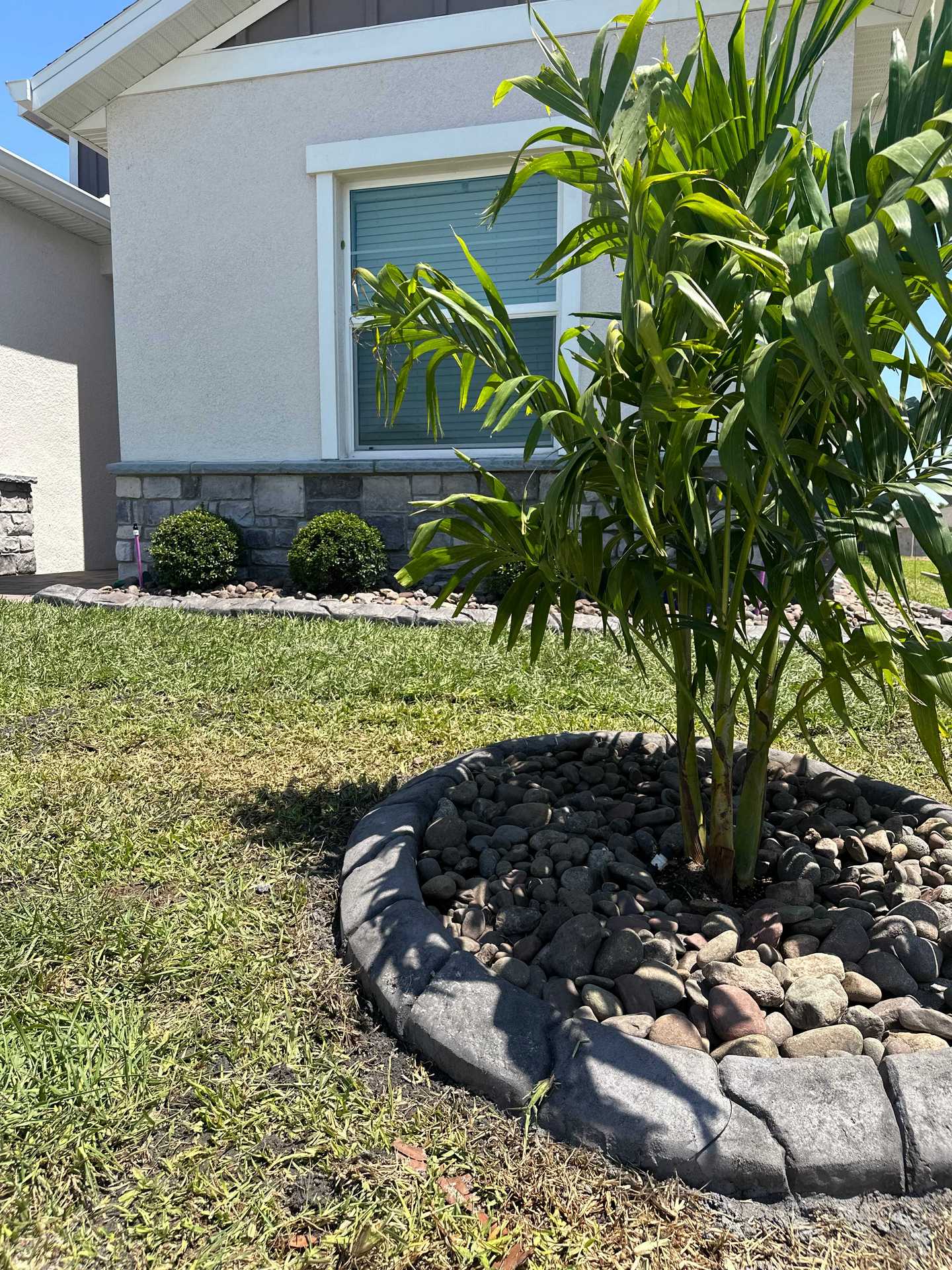 landscaping work around a young tree